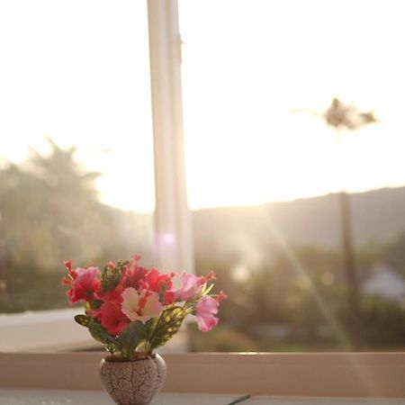Purple Place Homestay دونغ دونغ المظهر الخارجي الصورة