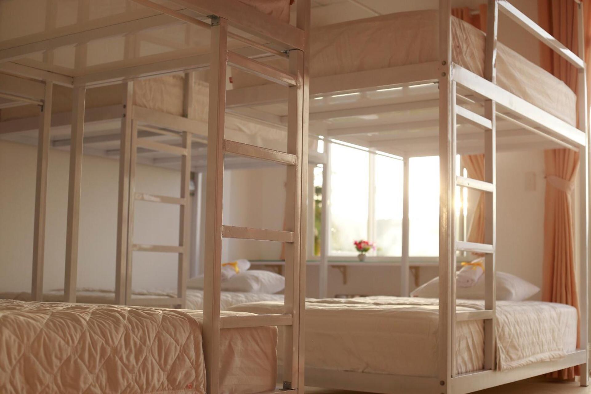 Purple Place Homestay دونغ دونغ المظهر الخارجي الصورة