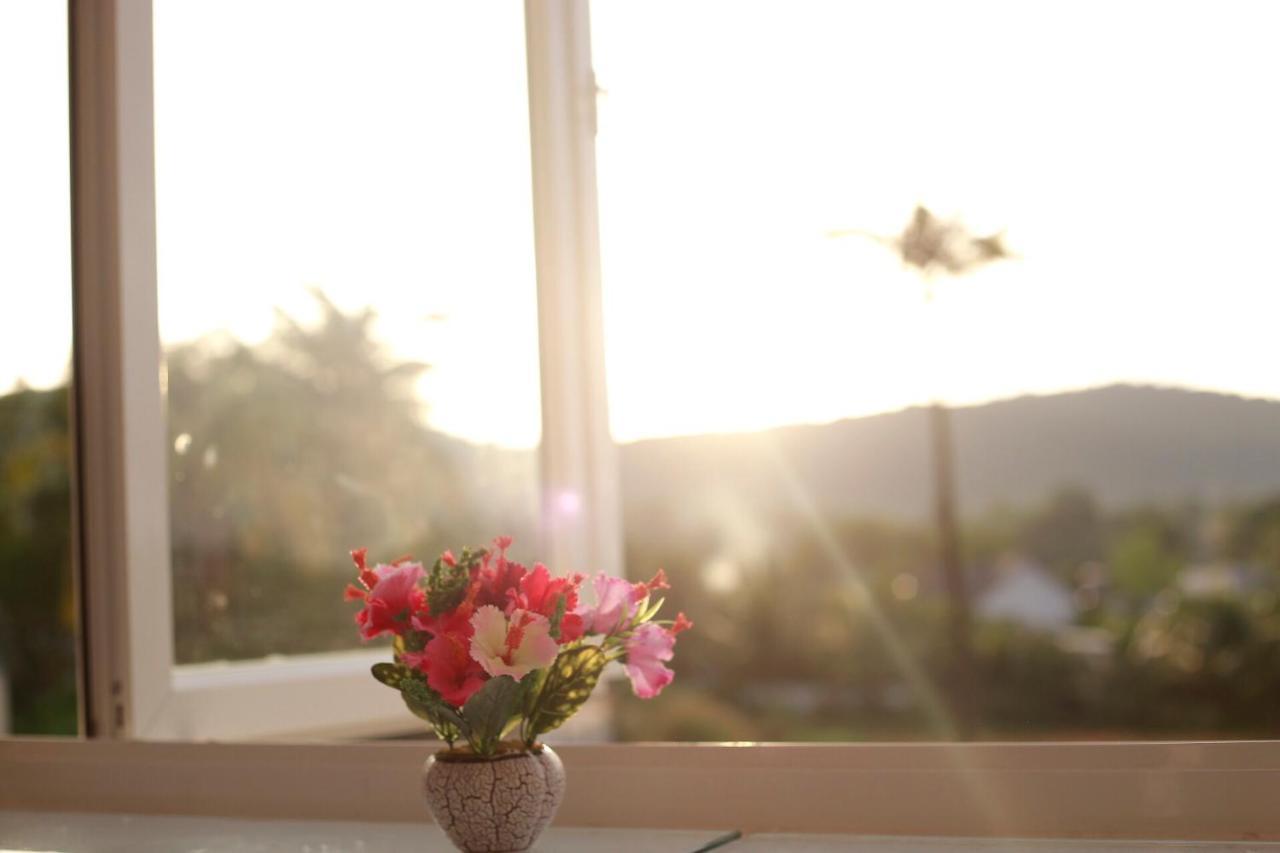 Purple Place Homestay دونغ دونغ المظهر الخارجي الصورة
